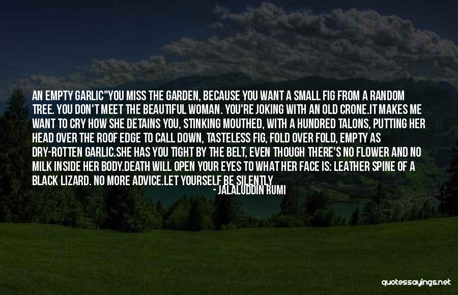 Jalaluddin Rumi Quotes 1328029 Jalaluddin Rumi Quotes 1328029