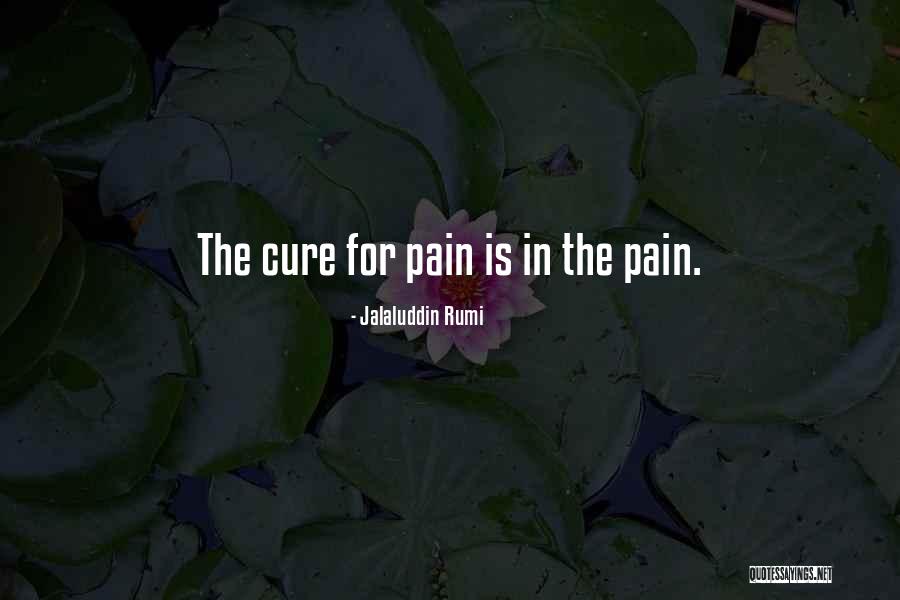 Jalaluddin Rumi Quotes 1420519 Jalaluddin Rumi Quotes 1420519