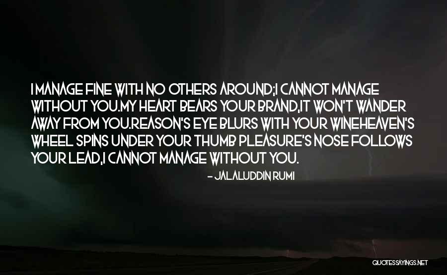 Jalaluddin Rumi Quotes 254341 Jalaluddin Rumi Quotes 254341