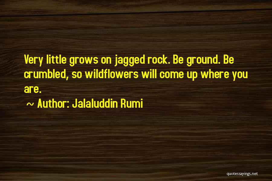 Jalaluddin Rumi Quotes 340950