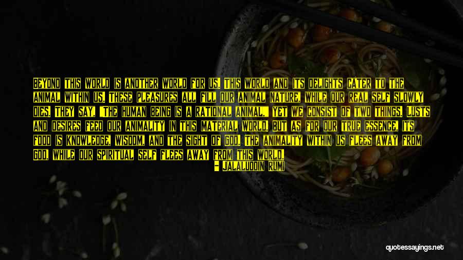 Jalaluddin Rumi Quotes 640340 Jalaluddin Rumi Quotes 640340