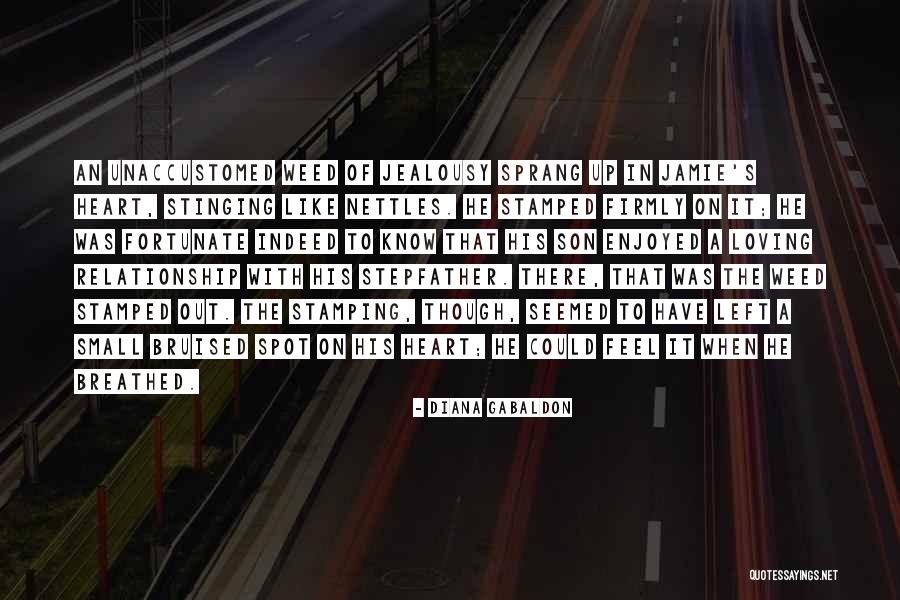 Jalili International Quotes By Diana Gabaldon Jalili International Quotes By Diana Gabaldon