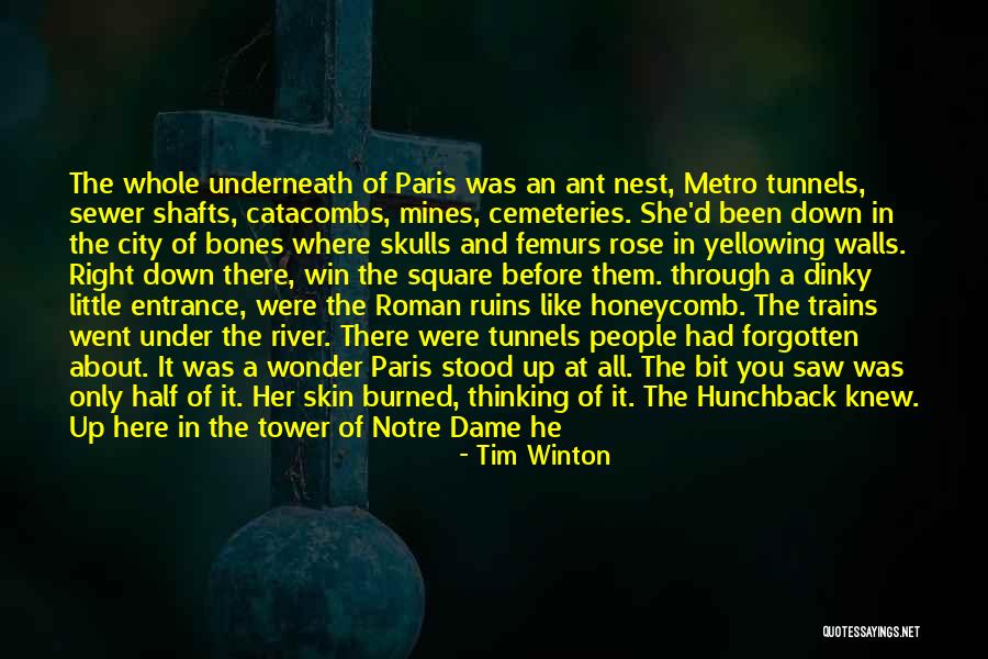 Jallab Iris Quotes By Tim Winton Jallab Iris Quotes By Tim Winton