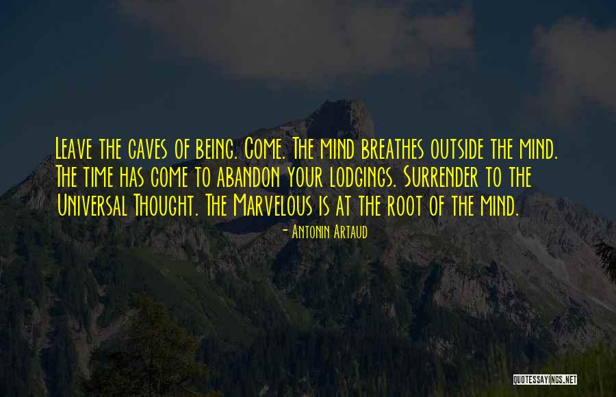 Jalousies Honolulu Quotes By Antonin Artaud Jalousies Honolulu Quotes By Antonin Artaud