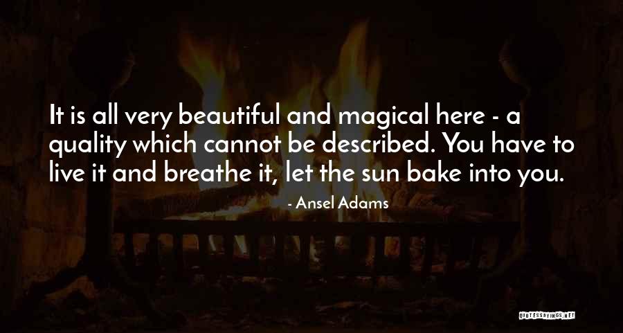 Jam Packed Firework Quotes By Ansel Adams Jam Packed Firework Quotes By Ansel Adams