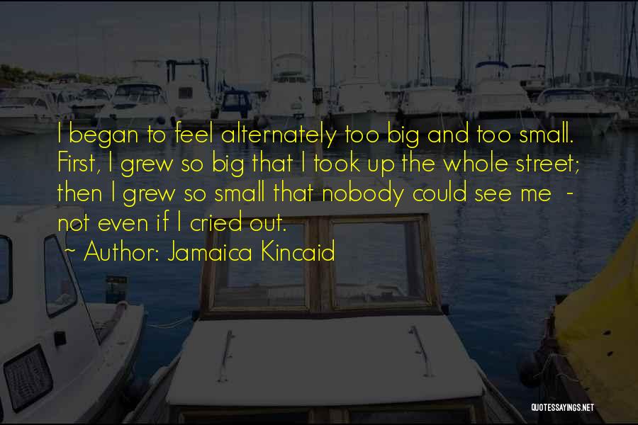 Jamaica Kincaid Annie John Quotes By Jamaica Kincaid