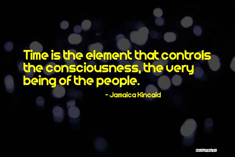 Jamaica Kincaid Quotes 1463545