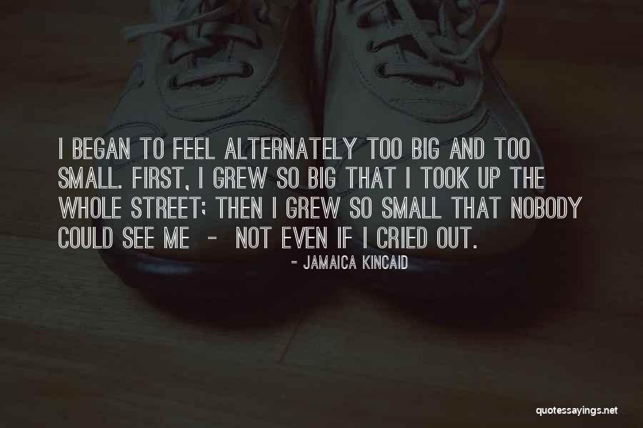 Jamaica Kincaid Quotes 1654440 Jamaica Kincaid Quotes 1654440