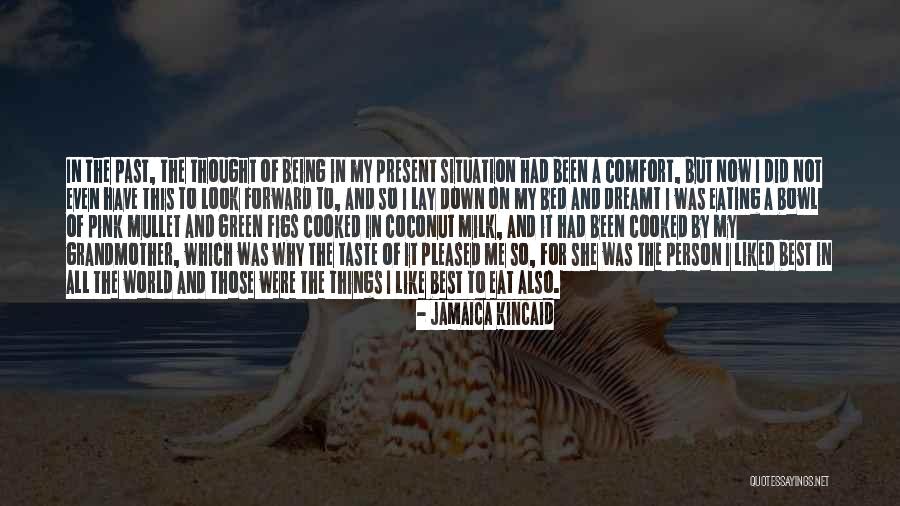 Jamaica Kincaid Quotes 2013858 Jamaica Kincaid Quotes 2013858