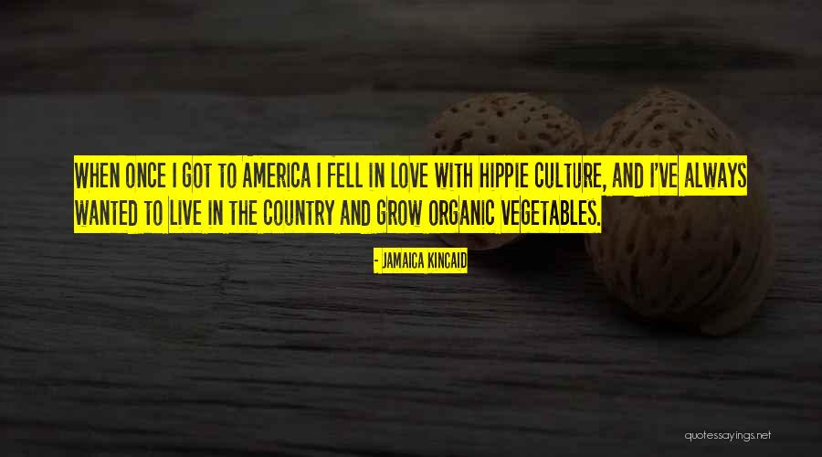 Jamaica Kincaid Quotes 446993 Jamaica Kincaid Quotes 446993