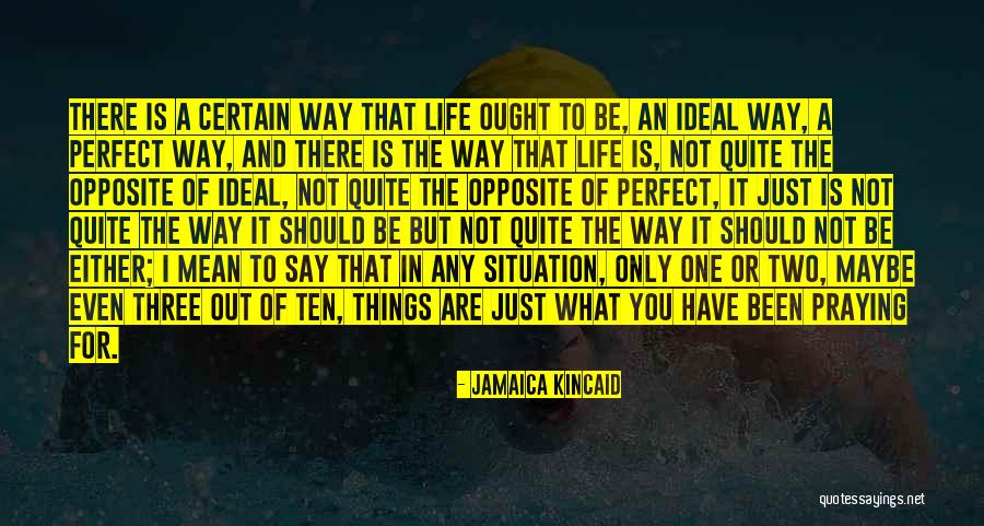 Jamaica Kincaid Quotes 659489