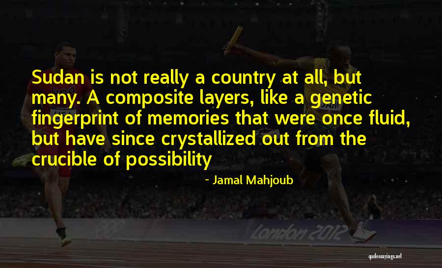 Jamal Mahjoub Quotes 2051000