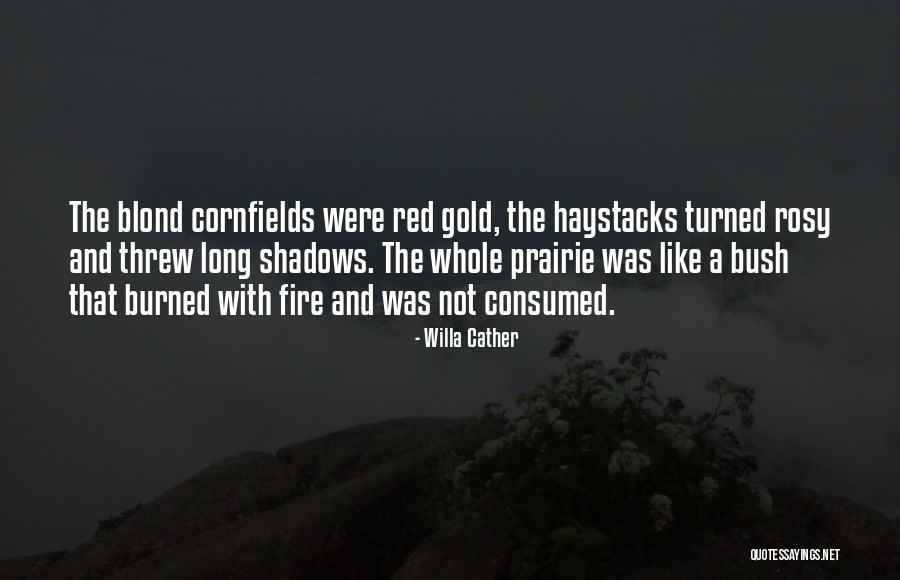 Jamara Griffin Quotes By Willa Cather Jamara Griffin Quotes By Willa Cather