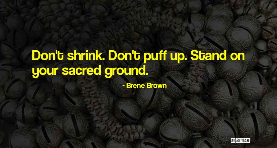 Jameera Quotes By Brene Brown Jameera Quotes By Brene Brown