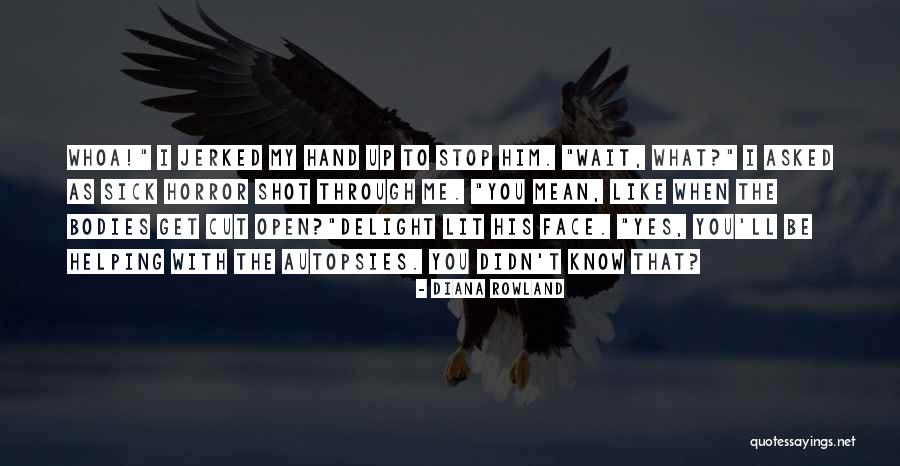 Jamel Aka Jamal Quotes By Diana Rowland Jamel Aka Jamal Quotes By Diana Rowland