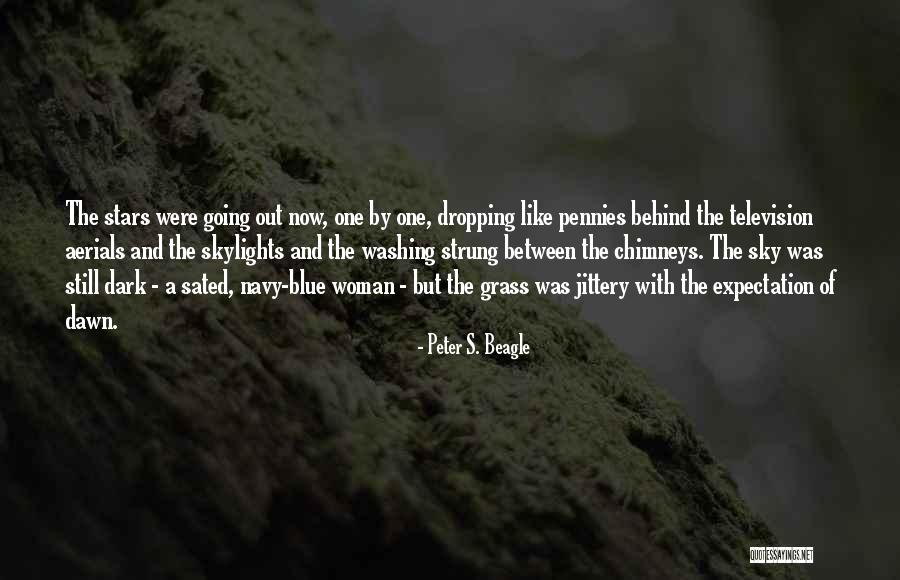 Jamella D2 Quotes By Peter S. Beagle Jamella D2 Quotes By Peter S. Beagle