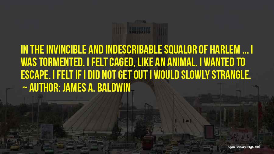 James A. Baldwin Quotes 1309918