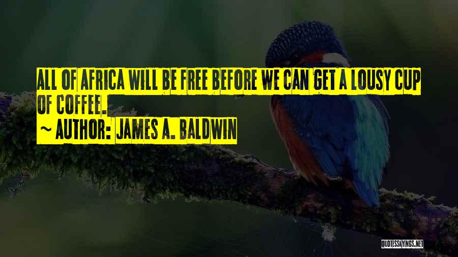 James A. Baldwin Quotes 1671336