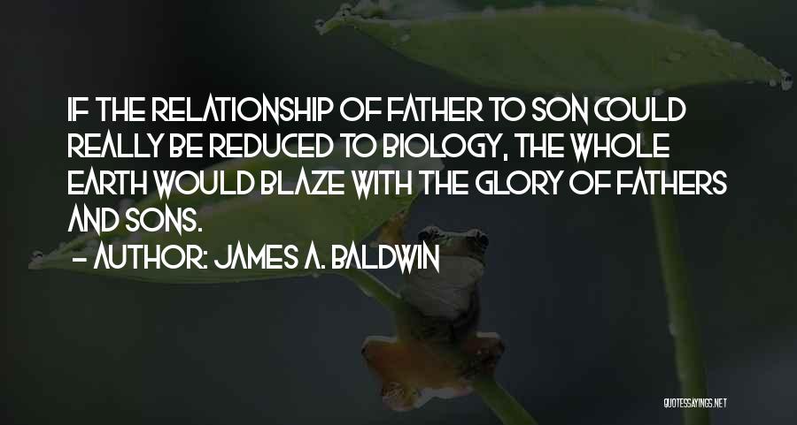 James A. Baldwin Quotes 210159