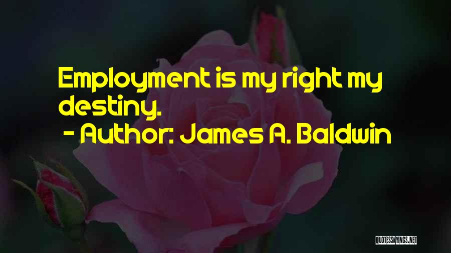 James A. Baldwin Quotes 84386