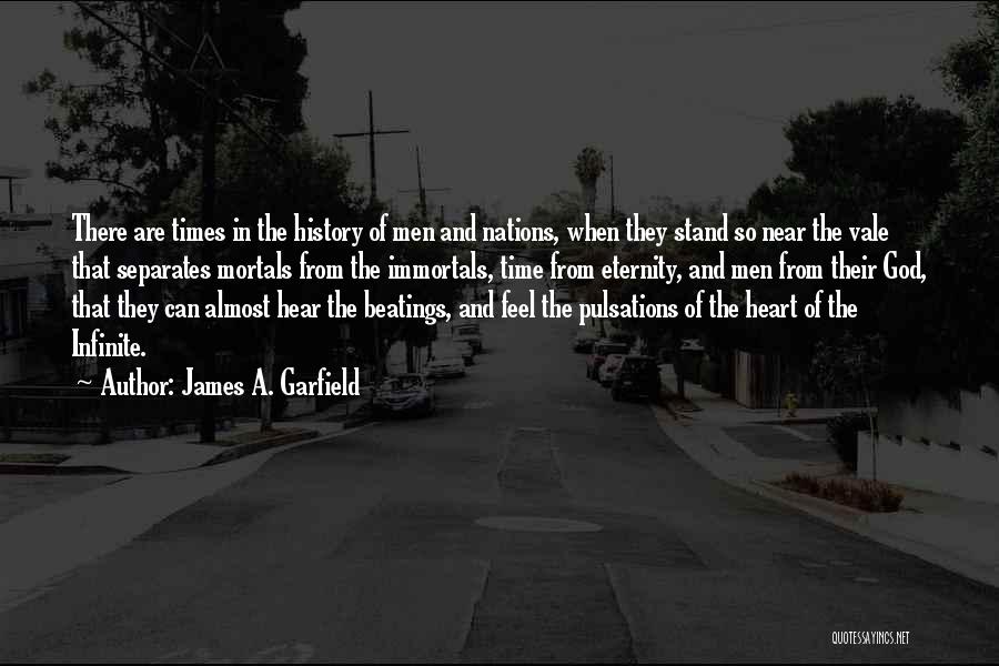 James A. Garfield Quotes 100227