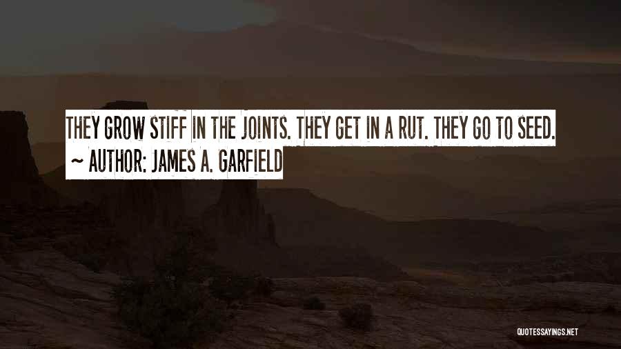 James A. Garfield Quotes 1164655