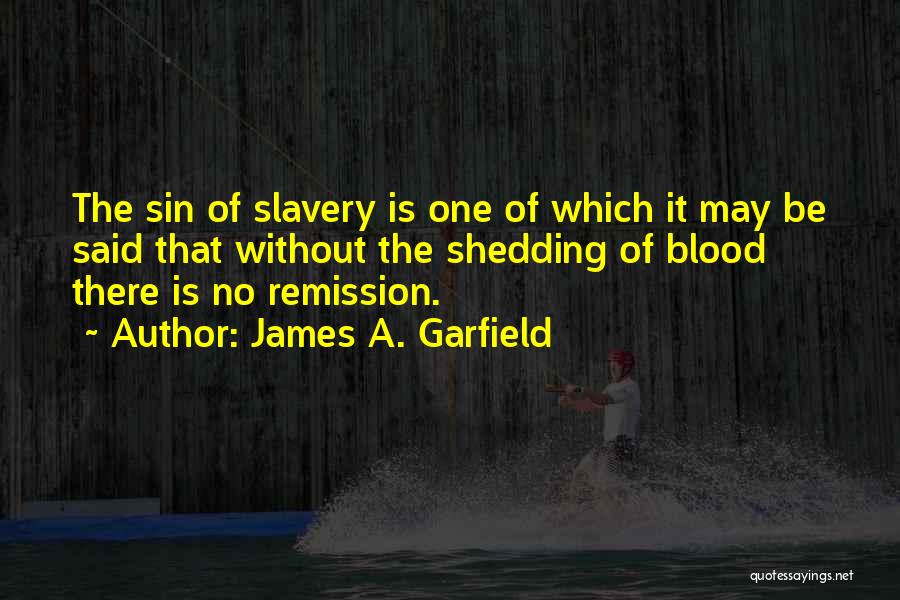 James A. Garfield Quotes 1212290