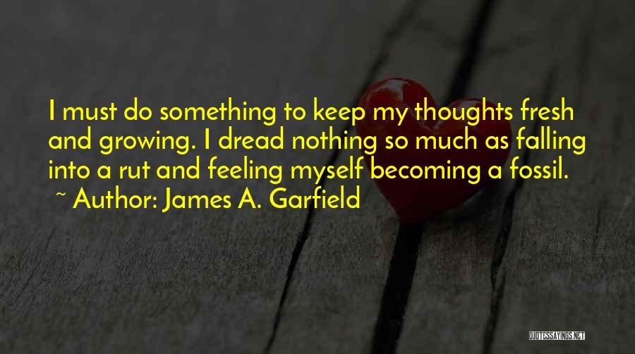 James A. Garfield Quotes 1284718