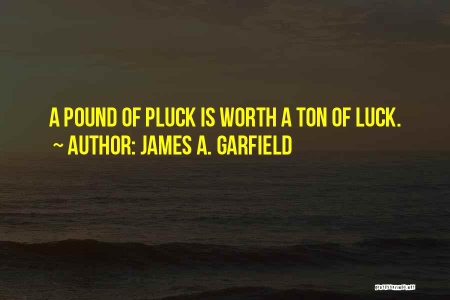 James A. Garfield Quotes 150268