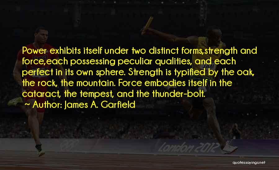 James A. Garfield Quotes 1756324