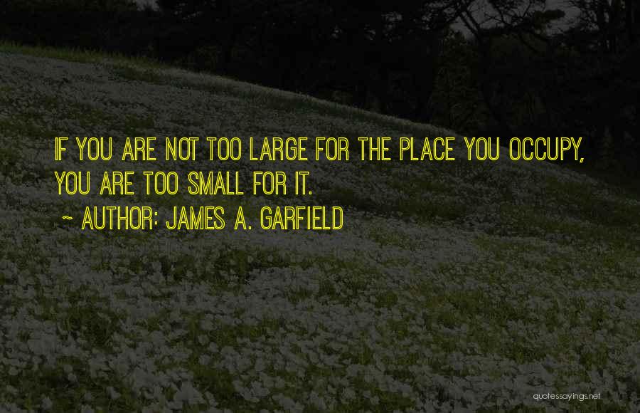 James A. Garfield Quotes 1836892