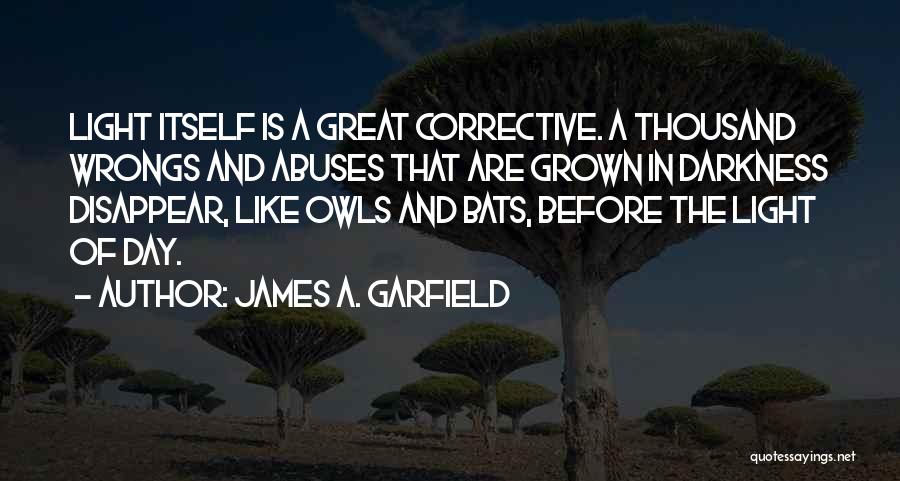 James A. Garfield Quotes 194435