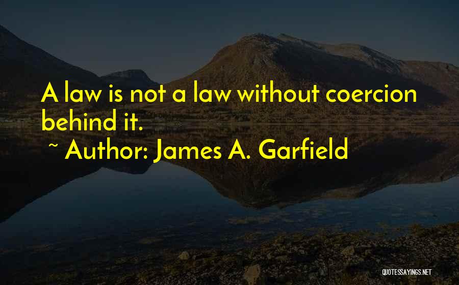 James A. Garfield Quotes 278062