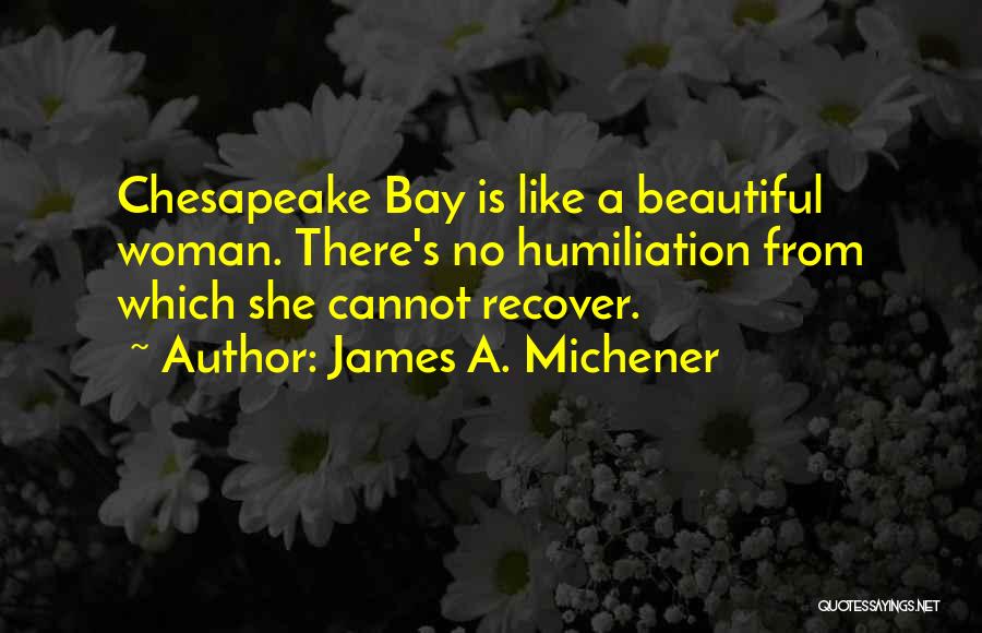 James A. Michener Quotes 375583
