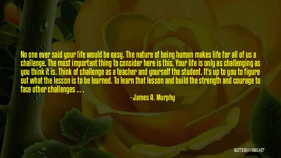 James A. Murphy Quotes 675420