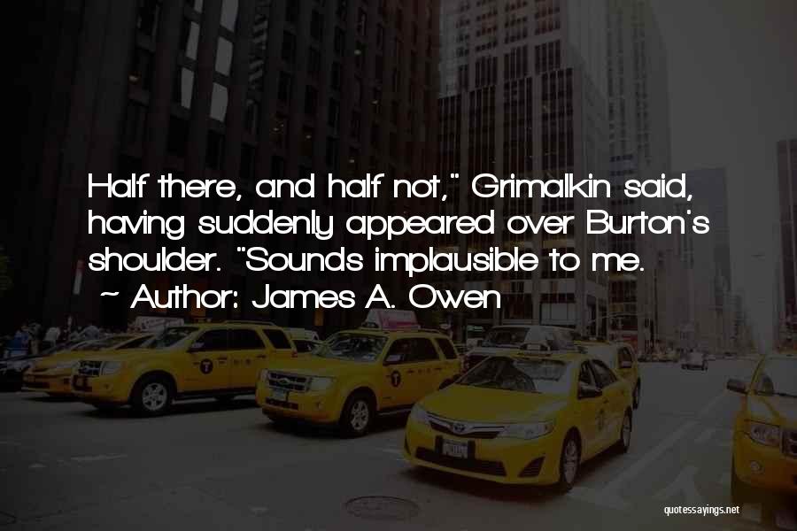 James A. Owen Quotes 981764