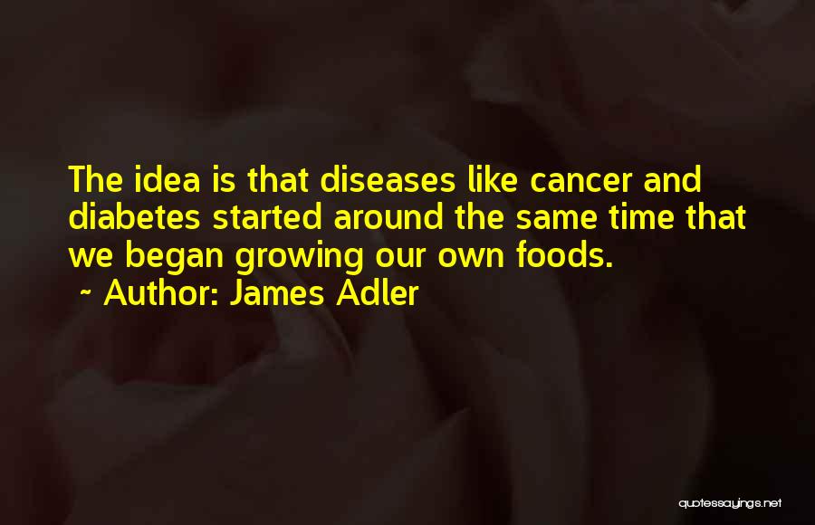 James Adler Quotes 1342345