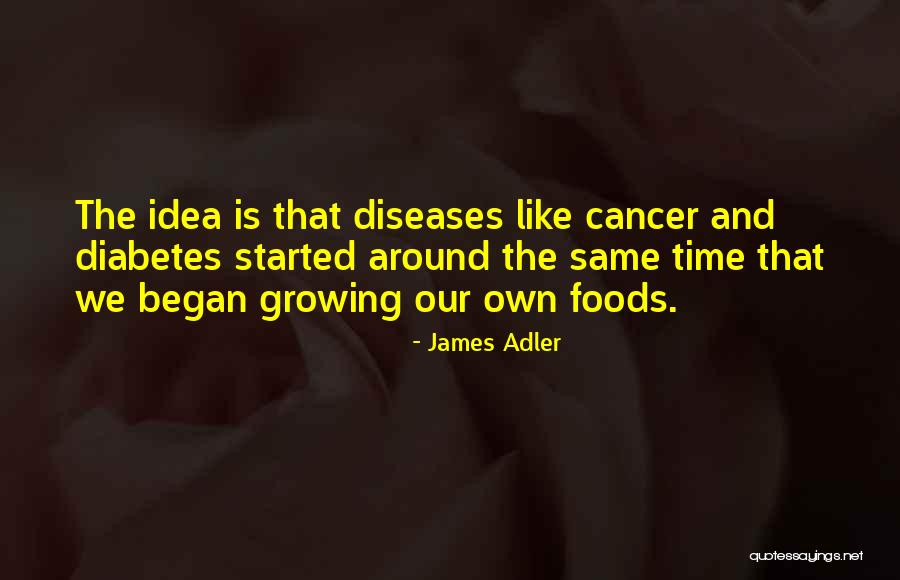 James Adler Quotes 1342345