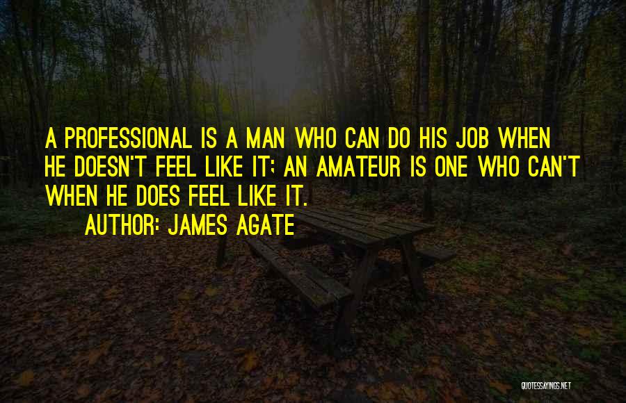 James Agate Quotes 143944