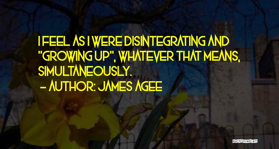James Agee Quotes 1826783