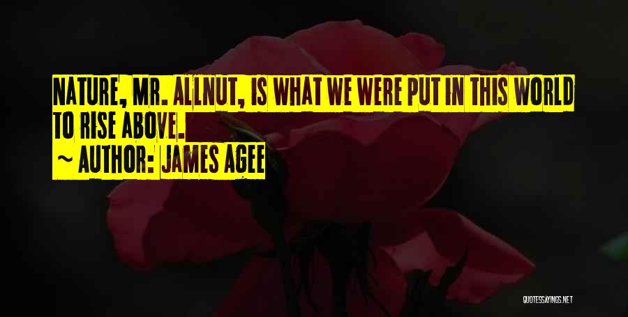 James Agee Quotes 1945335