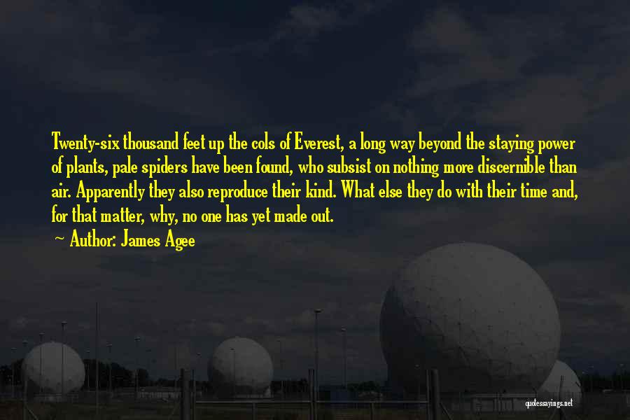 James Agee Quotes 2179153