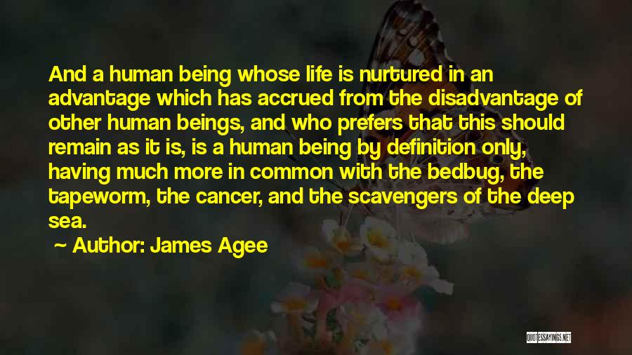 James Agee Quotes 2244693