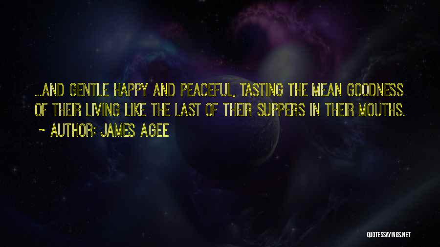 James Agee Quotes 395755