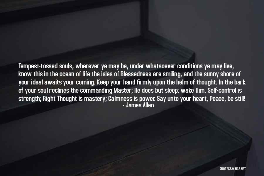 James Allen Quotes 405159