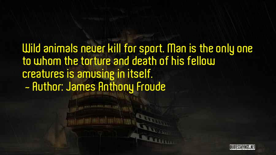 James Anthony Froude Quotes 111427