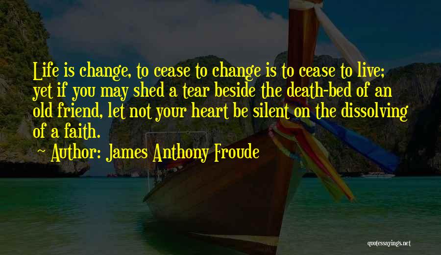 James Anthony Froude Quotes 1191897