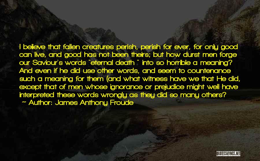 James Anthony Froude Quotes 1192085