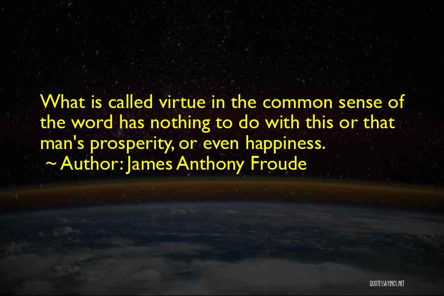 James Anthony Froude Quotes 1612625