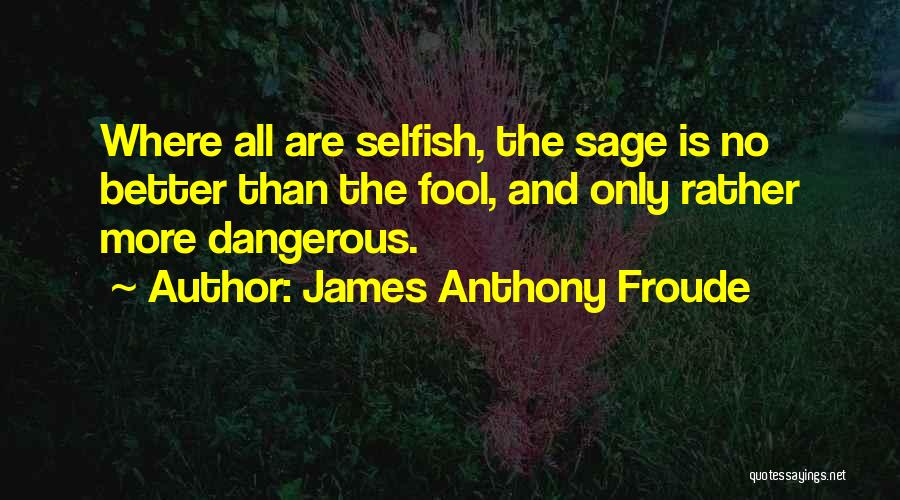 James Anthony Froude Quotes 1645101